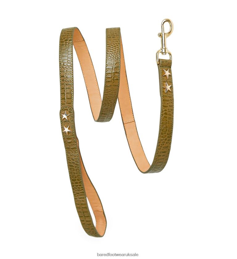 Green Croc Emboss Leather Unisex Bared Footwear N06D2V326 Dog Collar & Lead