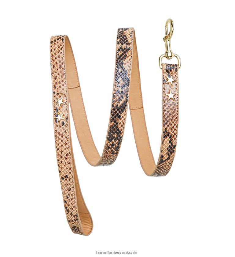 Snake Print Leather Unisex Bared Footwear N06D2V327 Dog Collar & Lead